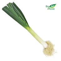 POR ŚWIEŻY BIO (około 0,25 kg)