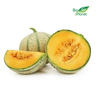 MELON ŚWIEŻY BIO (około 0,80 kg)