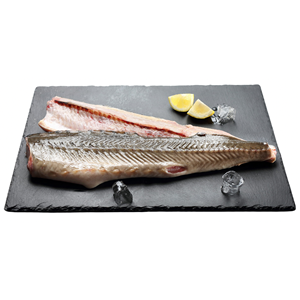 JESIOTR PŁAT (około 0,40 kg) - SMOLIN FISH (NA ZAMÓWIENIE)