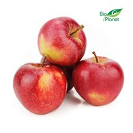 OPAKOWANIE ZBIORCZE (kg) - JABŁKA ŚWIEŻE BIO (IPADOR) (około 8 kg)