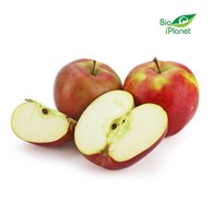 OPAKOWANIE ZBIORCZE (kg) - JABŁKA ŚWIEŻE BIO (GOLD MILENIUM - POLSKA) (około 13 kg)