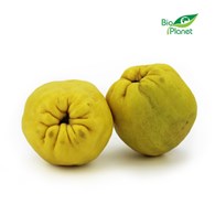 OPAKOWANIE ZBIORCZE (kg) - PIGWA ŚWIEŻA BIO (około 6 kg)