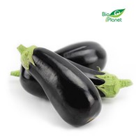 OPAKOWANIE ZBIORCZE (kg) - BAKŁAŻAN ŚWIEŻY BIO (POLSKA) (około 3 kg)