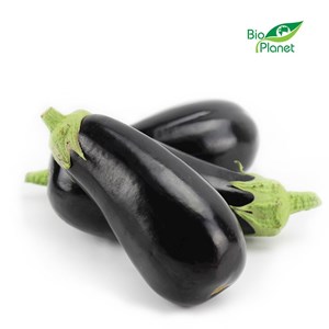 OPAKOWANIE ZBIORCZE (kg) - BAKŁAŻAN ŚWIEŻY BIO (POLSKA) (około 5 kg)