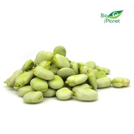 BÓB ŁUSKANY ŚWIEŻY BIO (POLSKA) (około 0,50 kg)
