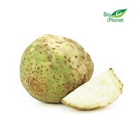 OPAKOWANIE ZBIORCZE (kg) - SELER ŚWIEŻY BIO (około 10 kg)