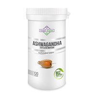 ASHWAGANDHA EKSTRAKT (500 mg) 120 KAPSUŁEK - SOUL FARM