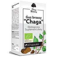 GUZ BRZOZY CHAGA BIO (470 mg) 60 KAPSUŁEK - DARY NATURY