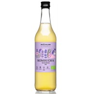 KOMBUCHA LAWENDOWA BIO 500 ml - DELIKATNA