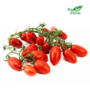 POMIDORY DAKTYLOWE NA GAŁĄZCE ŚWIEŻE BIO (POLSKA) (około 0,25 kg)