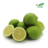 OPAKOWANIE ZBIORCZE (kg) - CYTRYNY ZIELONE ŚWIEŻE BIO (około 6 kg)