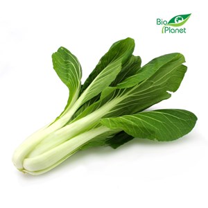 OPAKOWANIE ZBIORCZE (szt) - KAPUSTA PAK CHOI ŚWIEŻA BIO (12 sztuk)