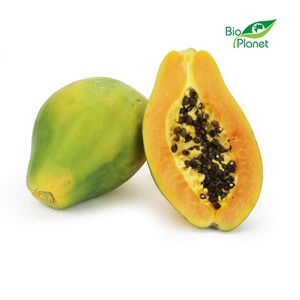 OPAKOWANIE ZBIORCZE (szt) - PAPAJA ŚWIEŻA BIO (około 9 sztuk)