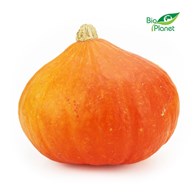 OPAKOWANIE ZBIORCZE (kg) - DYNIA HOKKAIDO ŚWIEŻA BIO (około 10 kg)