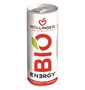 NAPÓJ ENERGETYZUJĄCY O SMAKU JABŁKO - JEŻYNA BIO 250 ml - HOLLINGER